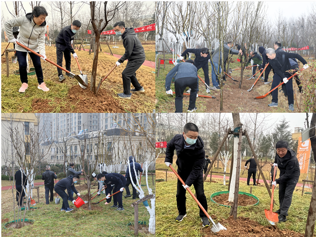 Top1体育官网-不凡成绩非凡,相信品牌的实力