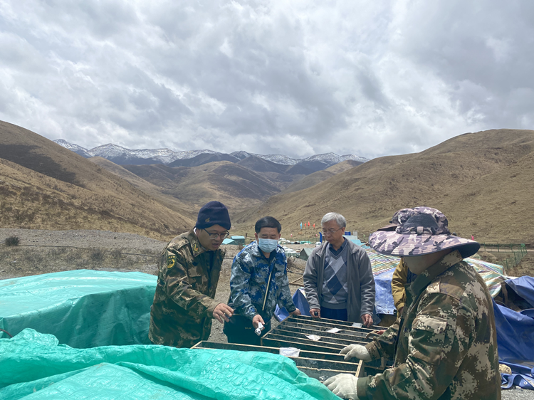 Top1体育官网-不凡成绩非凡,相信品牌的实力