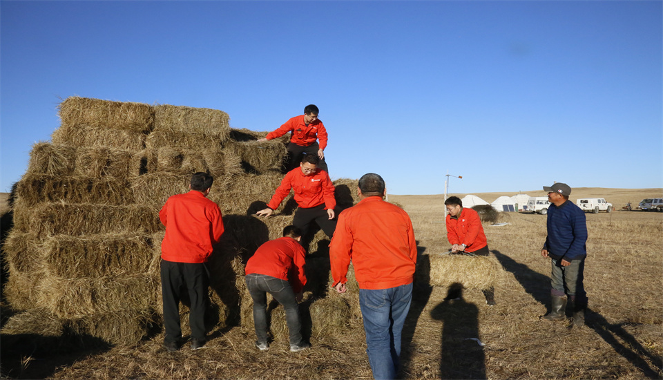 Top1体育官网-不凡成绩非凡,相信品牌的实力