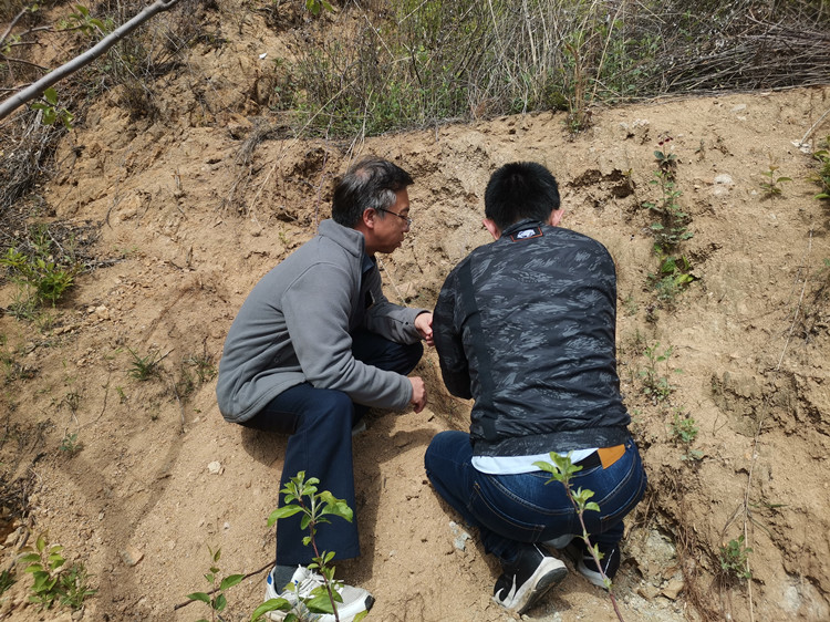 Top1体育官网-不凡成绩非凡,相信品牌的实力