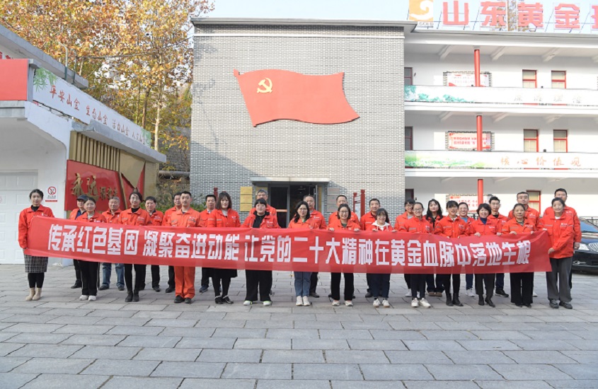 Top1体育官网-不凡成绩非凡,相信品牌的实力