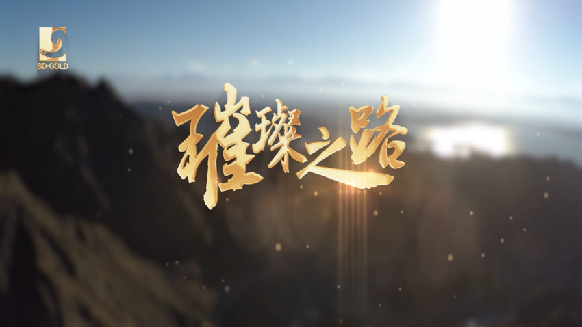 Top1体育官网-不凡成绩非凡,相信品牌的实力