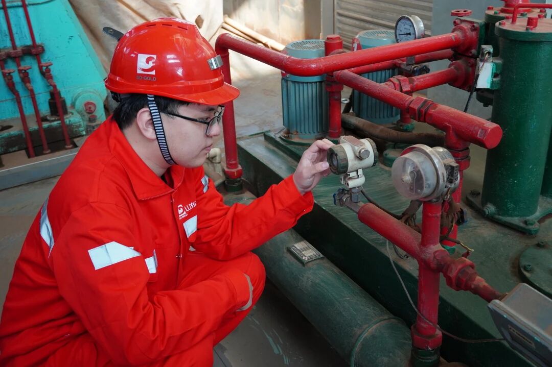 Top1体育官网-不凡成绩非凡,相信品牌的实力