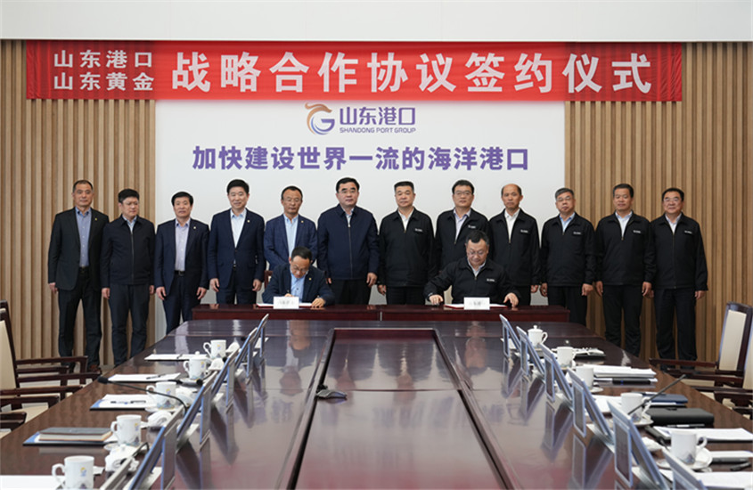 Top1体育官网-不凡成绩非凡,相信品牌的实力