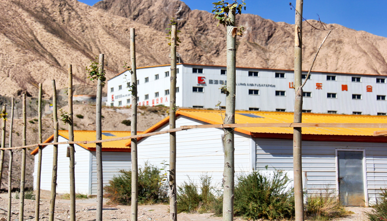 Top1体育官网-不凡成绩非凡,相信品牌的实力