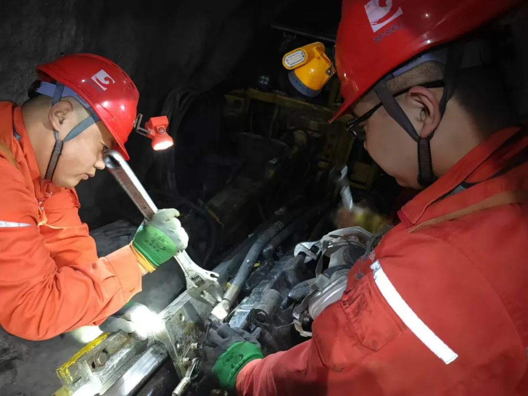 Top1体育官网-不凡成绩非凡,相信品牌的实力